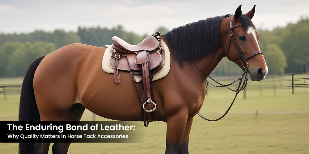 The Enduring Bond of Leather: Why Quality Matters in Horse Tack Accessories