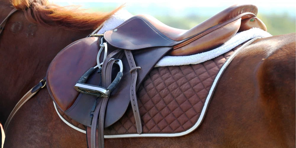 How to Choose the Perfect Saddle for your Horse? The Ashva How to Choose the Perfect Saddle for your Horse? The Ashva