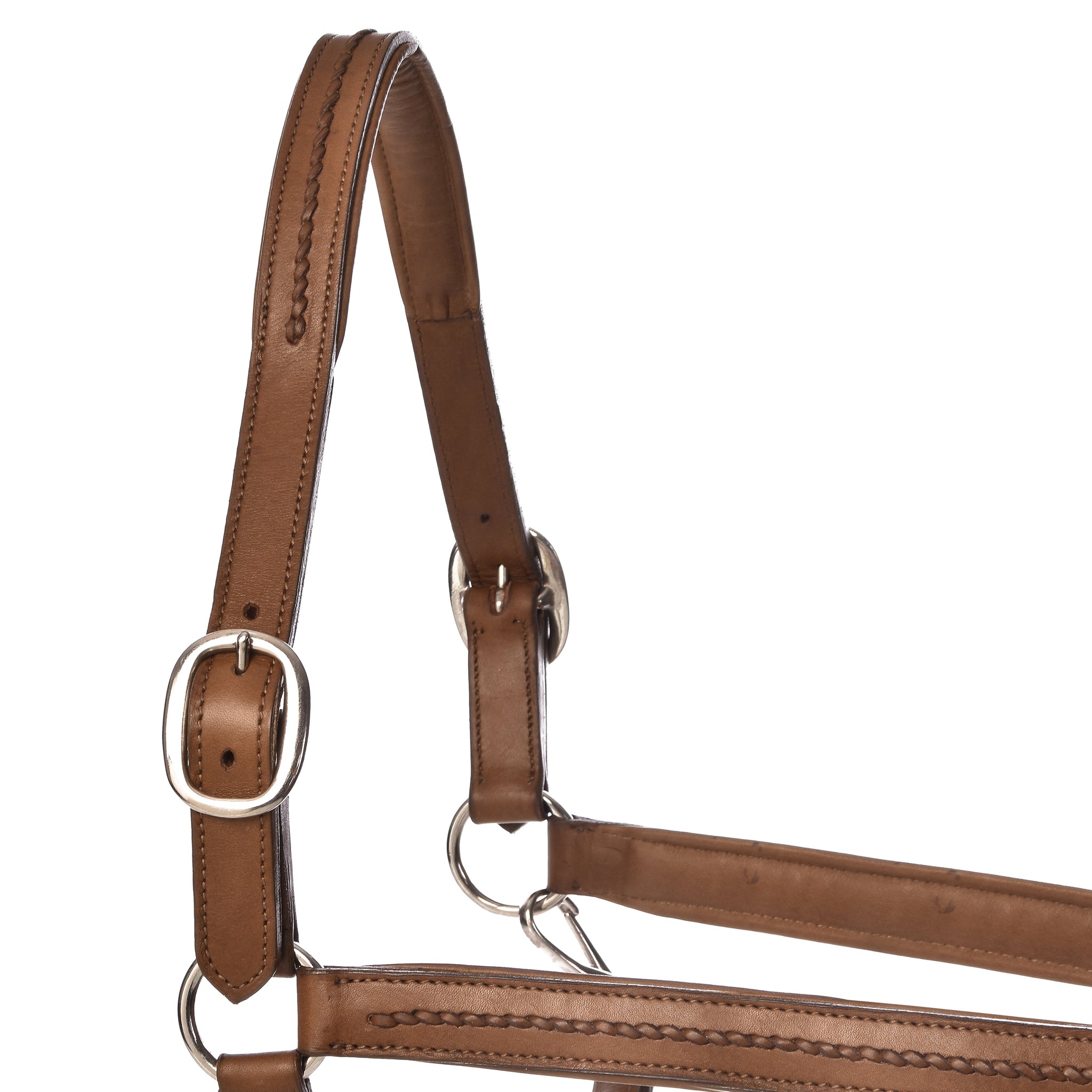 York Halters - Horse Halters