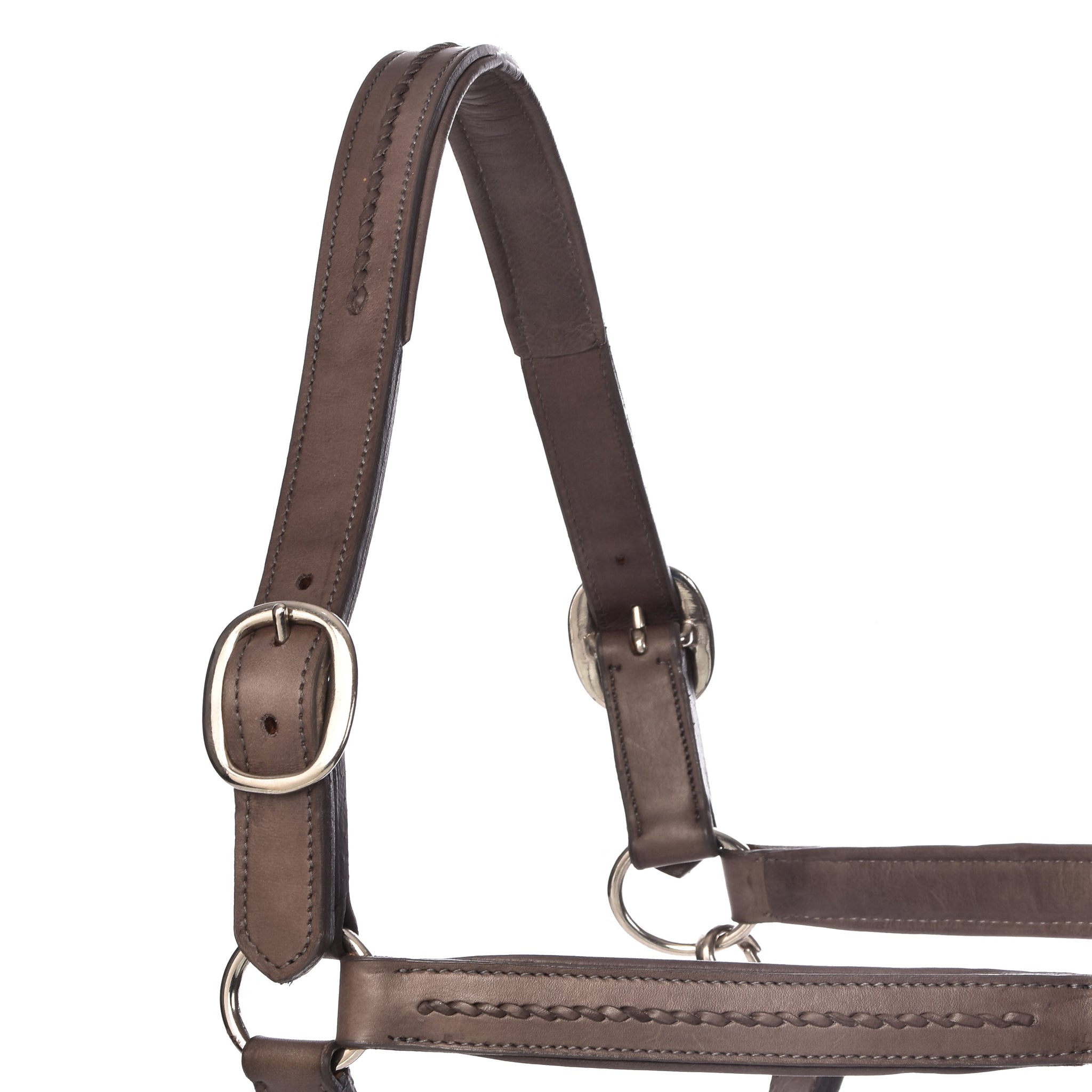York Halters - Horse Halters