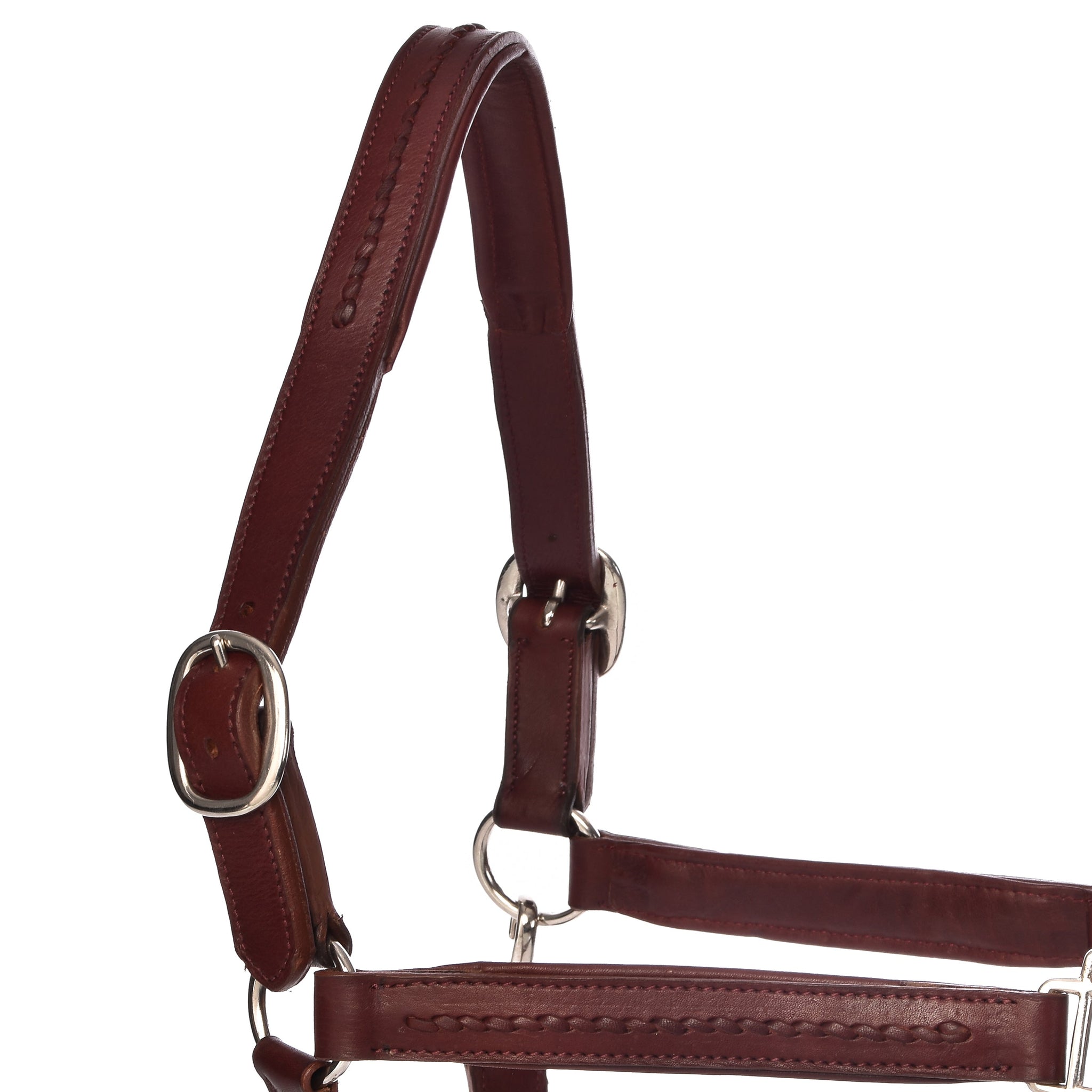 York Halters - Horse Halters