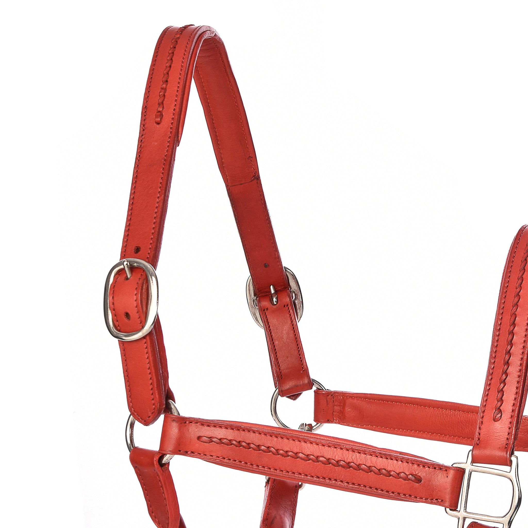 York Halters - Horse Halters