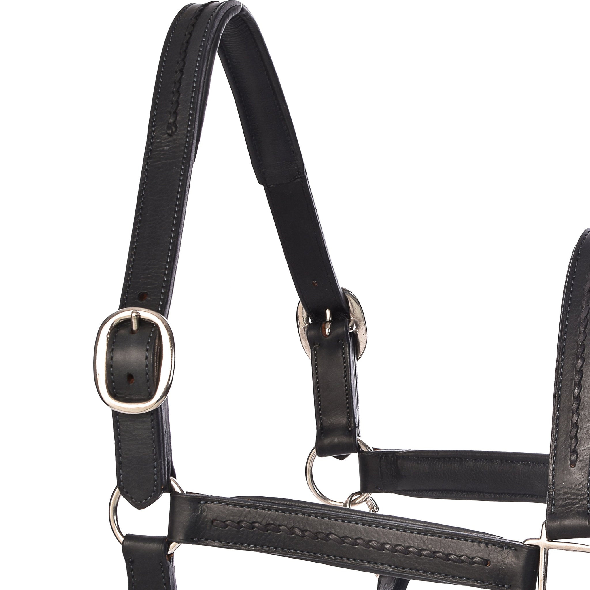 York Halters - Horse Halters