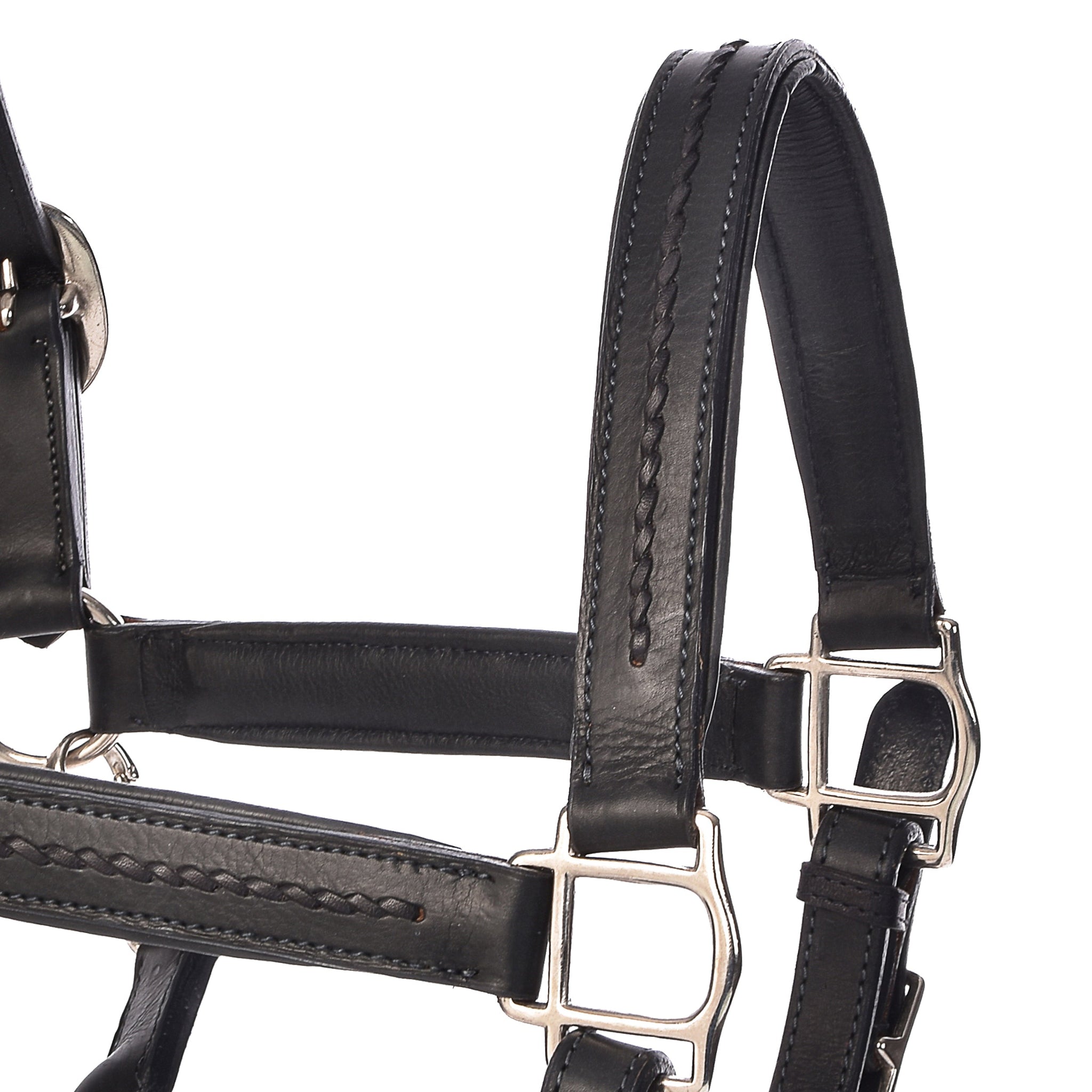 York Halters - Horse Halters
