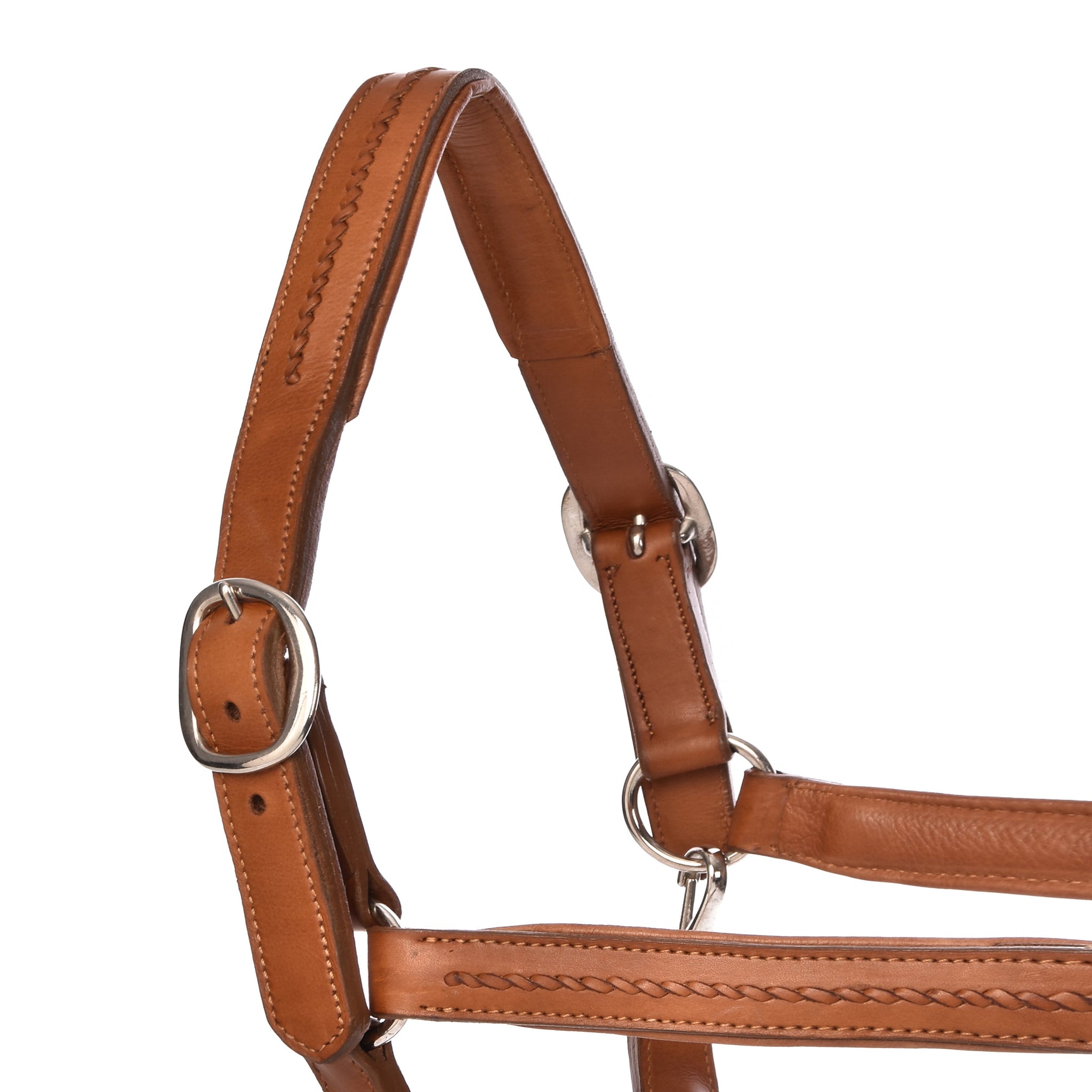 York Halters - Horse Halters