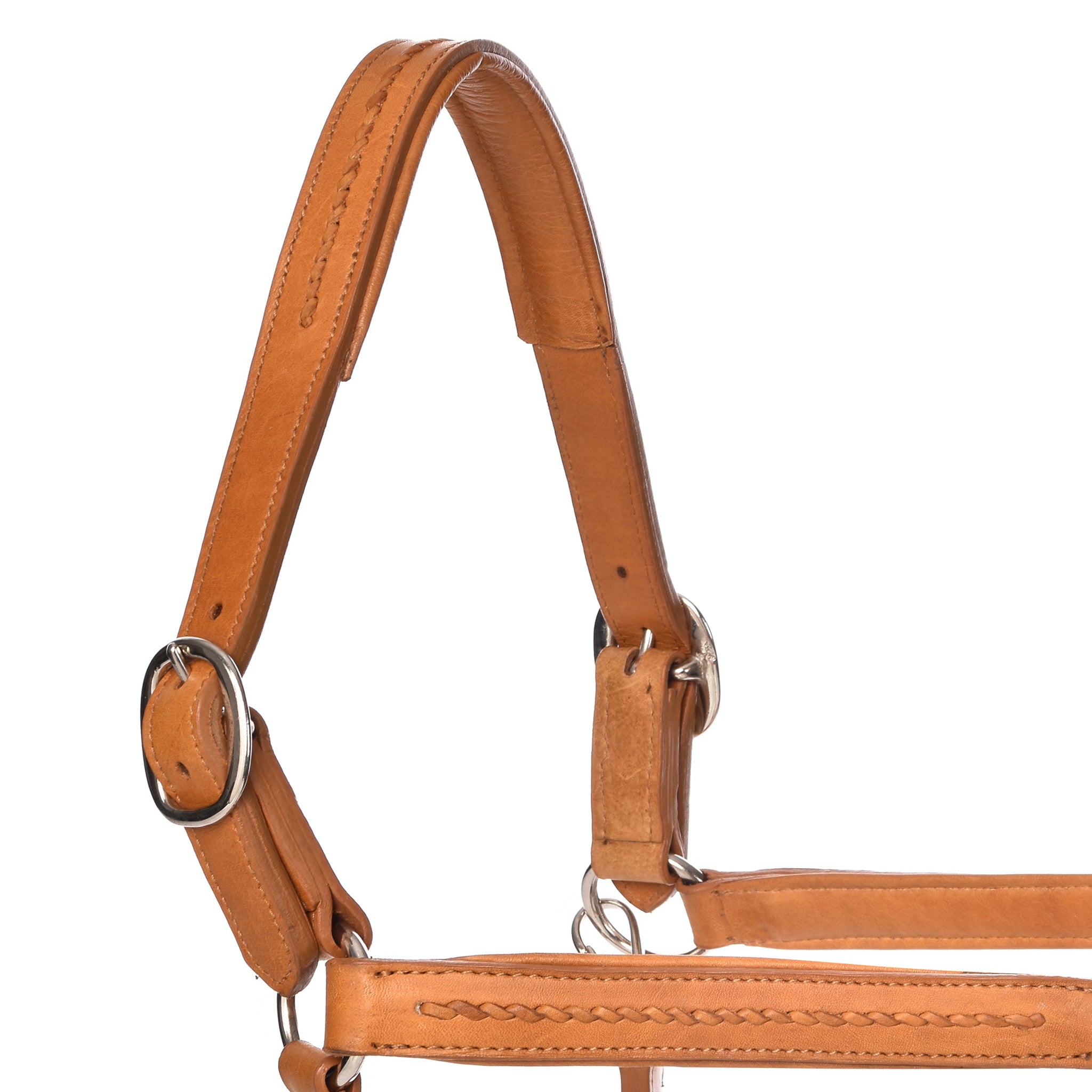 York Halters - Horse Halters
