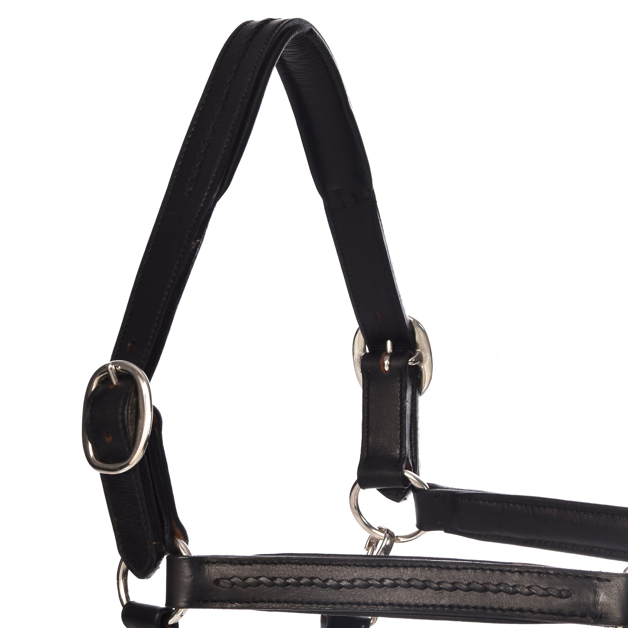 York Halters - Horse Halters