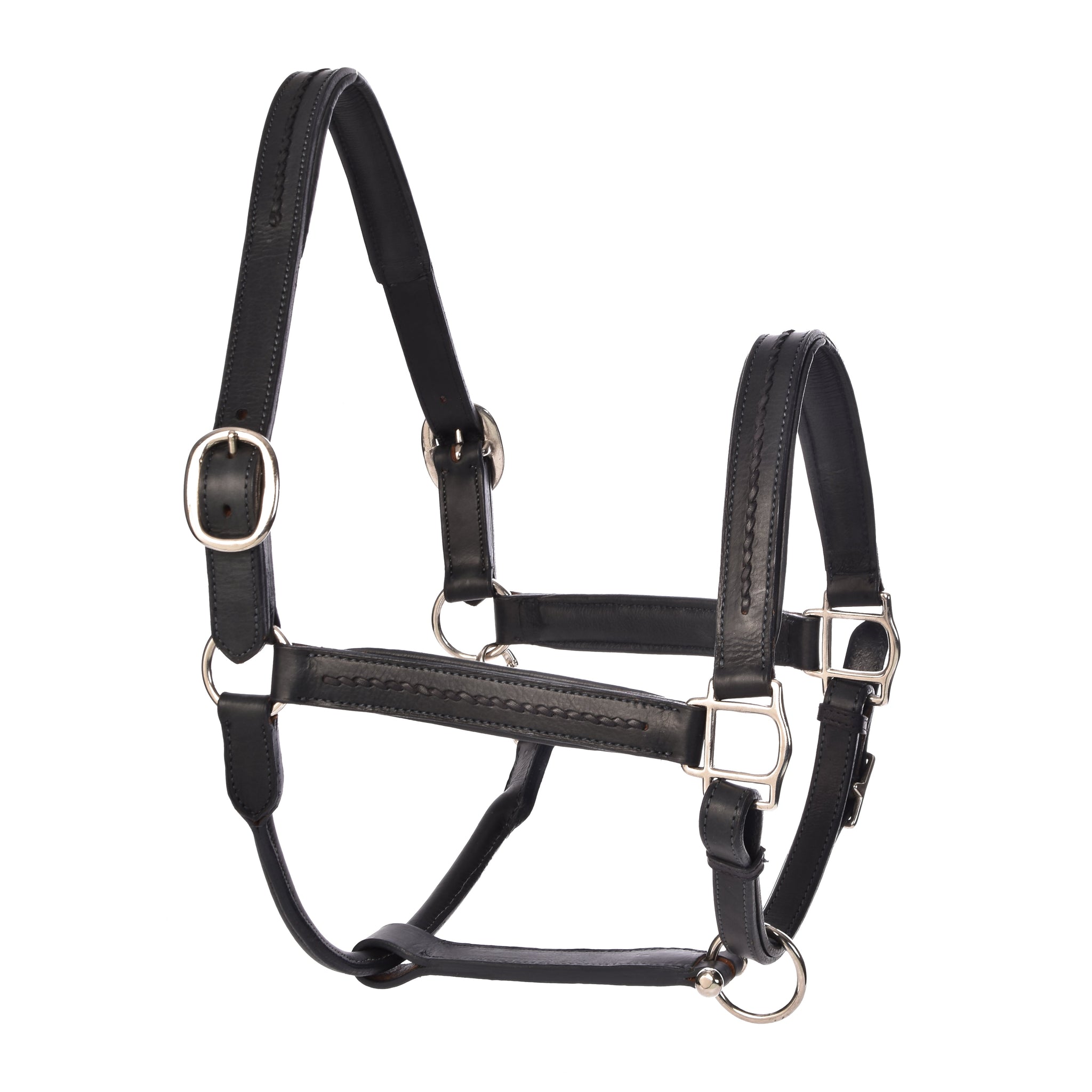 York Halters - PONY / Midnight Blue - Horse Halters