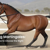 Demystifying Martingales: Types, Uses, and How to Choose the Right One for Your Horse