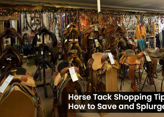 Horse Tack Shopping Tips: How to Save and Splurge Wisely