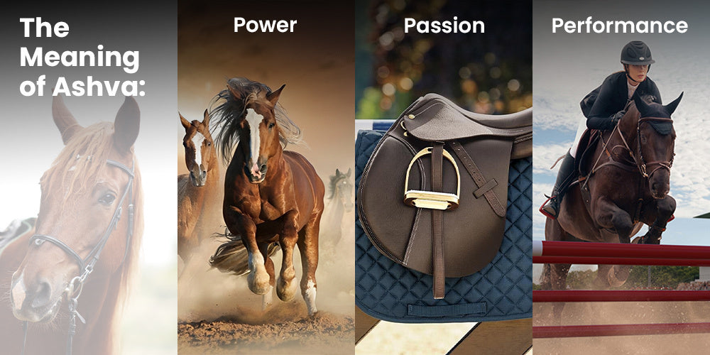The Meaning of Ashva: Power, Passion, and Performance