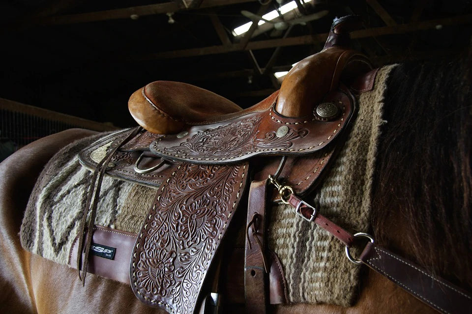 How to choose the perfect Bridle for your Horse