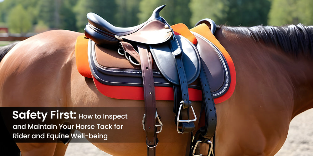 Safety First: How to Inspect and Maintain Your Horse Tack for Rider and Equine Well-being