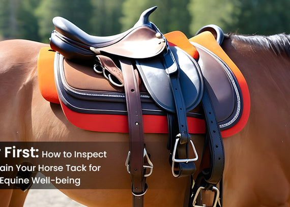 Safety First: How to Inspect and Maintain Your Horse Tack for Rider and Equine Well-being