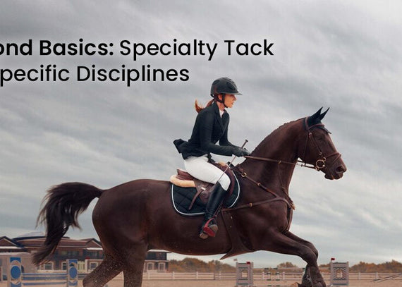 Beyond Basics: Specialty Tack for Specific Disciplines