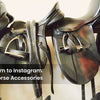 From Tack Room to Instagram: Styling Your Horse Accessories