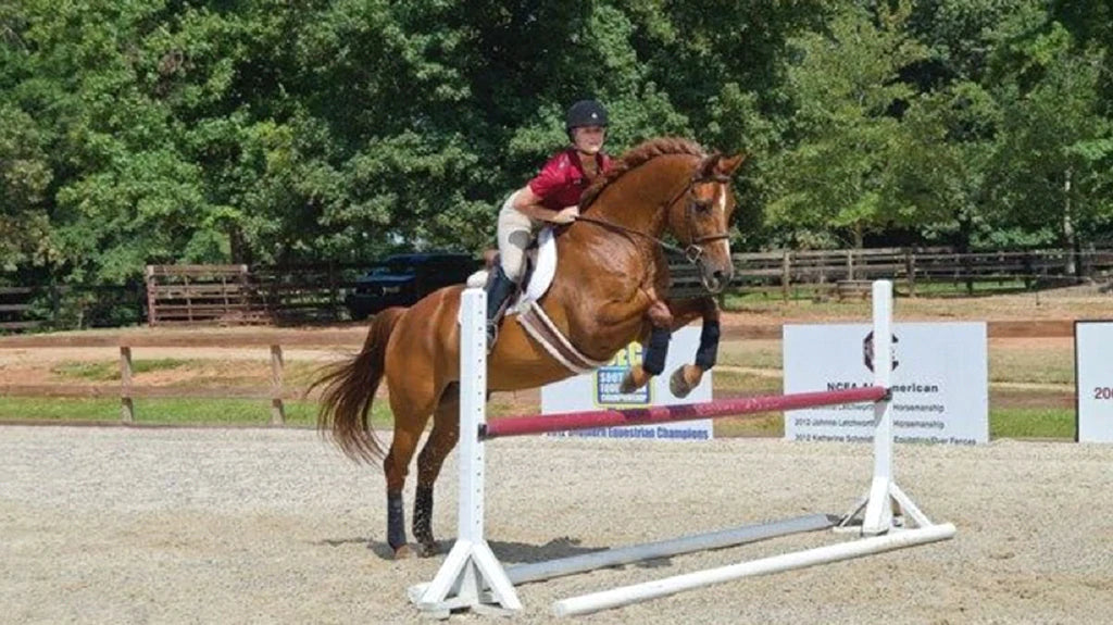 Horse Riding Exercises: Tips to Improve Balance while riding a horse.