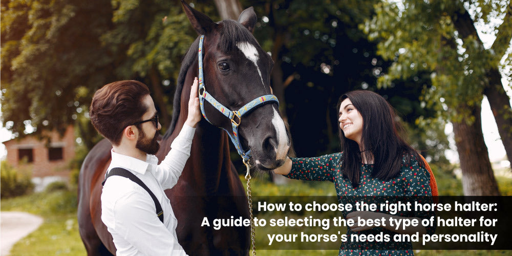 How to choose the right horse halter: A guide to selecting the best type of halter for your horse's needs and personality