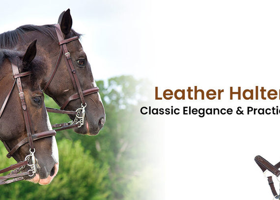 Leather Halters: Classic Elegance and Practicality