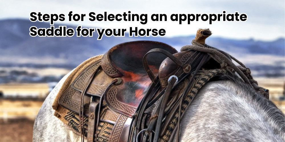 Steps for Selecting an appropriate Saddle for your Horse