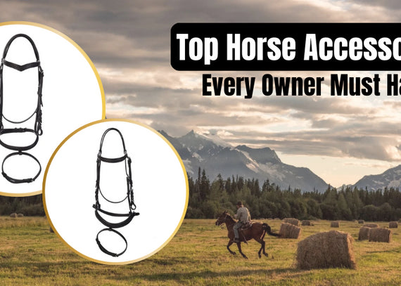 Top Accessories Every Horse Owner Should Invest In