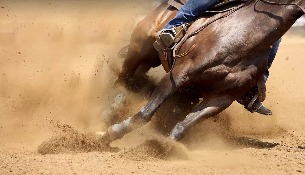 What are the important and essentials for Horse Back Riding?