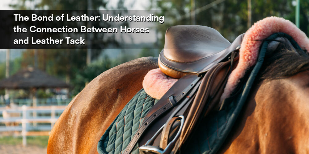 The Bond of Leather: Understanding the Connection Between Horses and Leather Tack