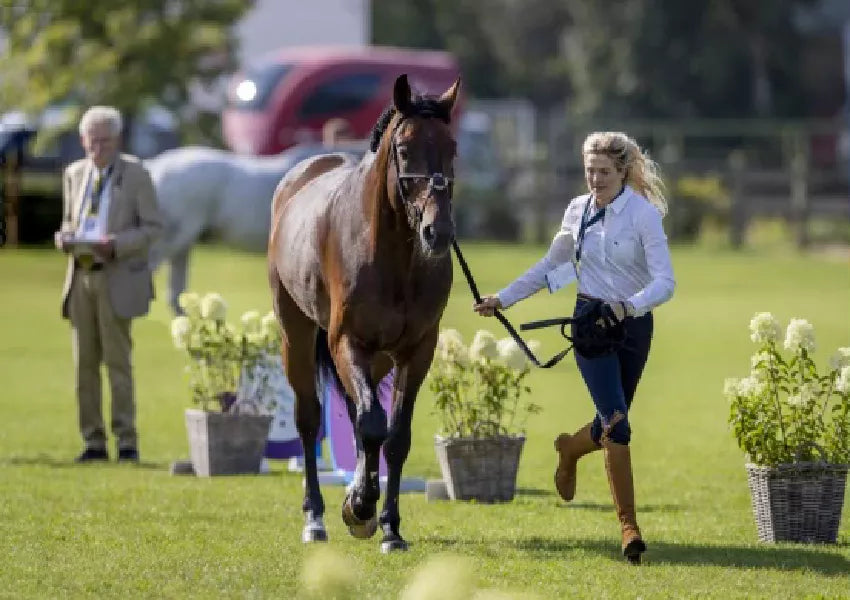 Martingales and its Uses & Benefits