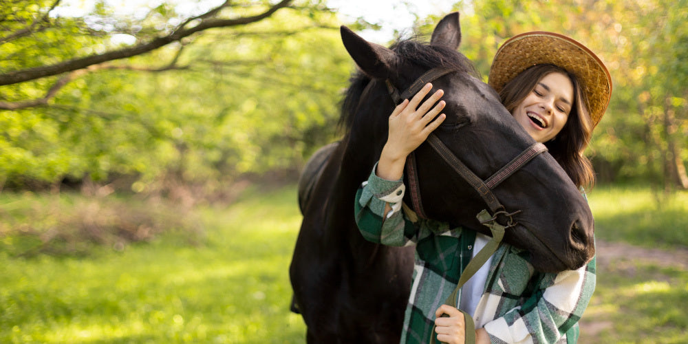 How to Groom your Horse at Home?