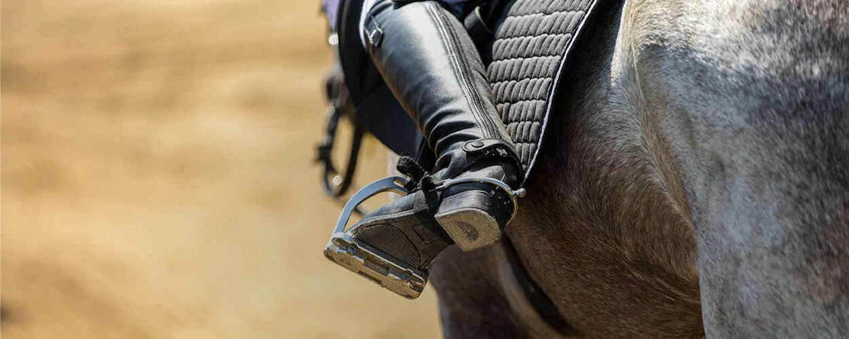 Collection of Horse Bridles - Derby, Juls and York