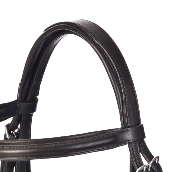 Derby Bridles - Bridles