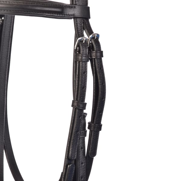 Derby Bridles - Bridles