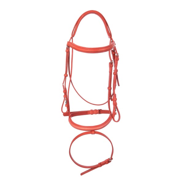 Derby Bridles - Bridles