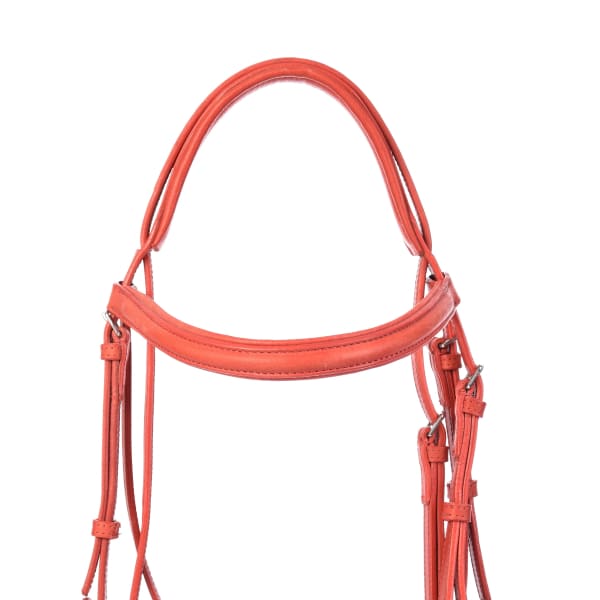 Derby Bridles - Bridles