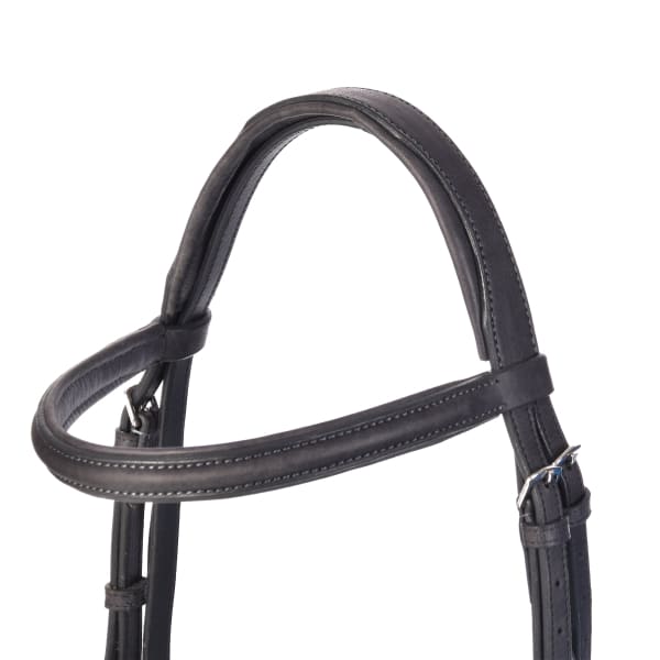Derby Bridles - Bridles
