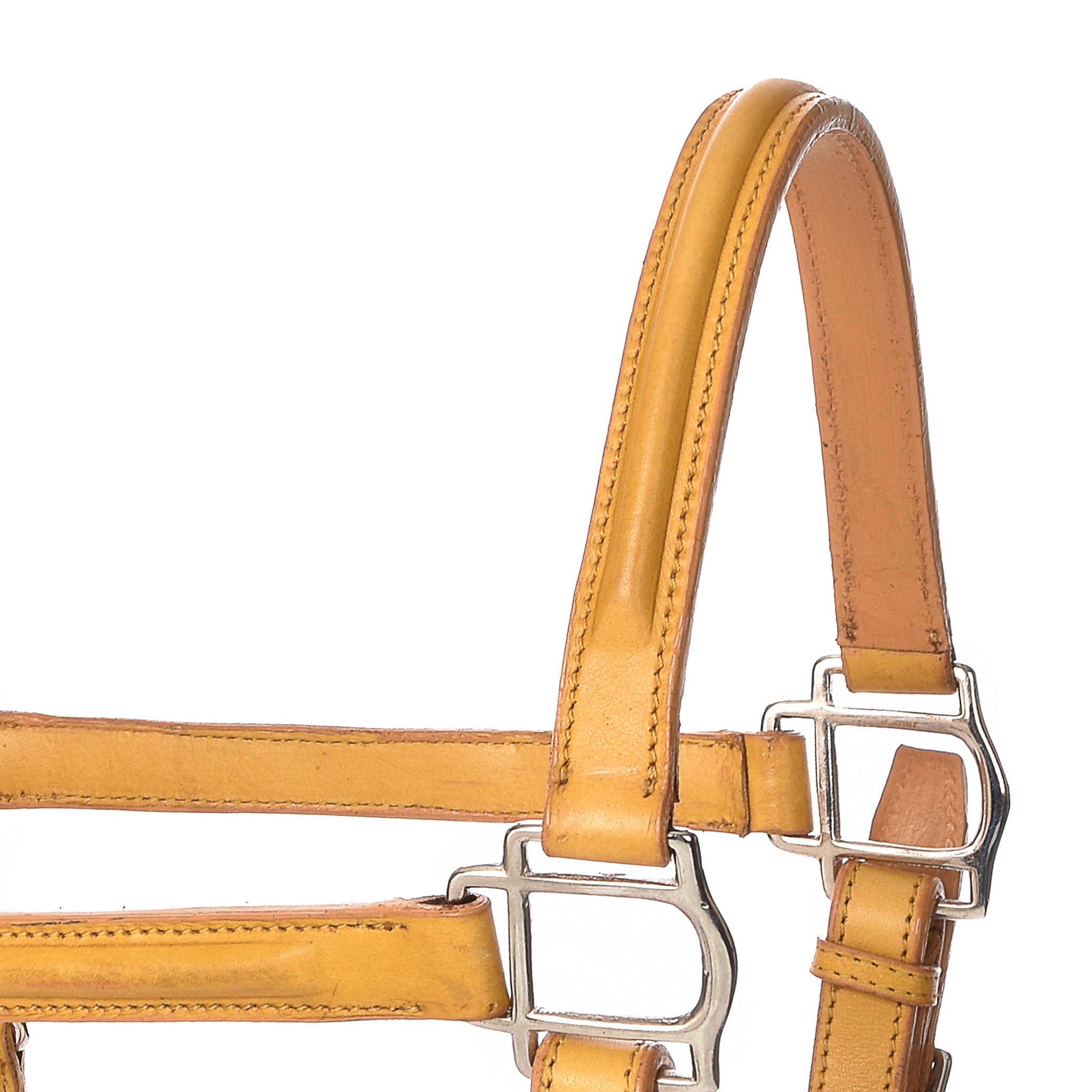 Derby Halters - Horse Halters