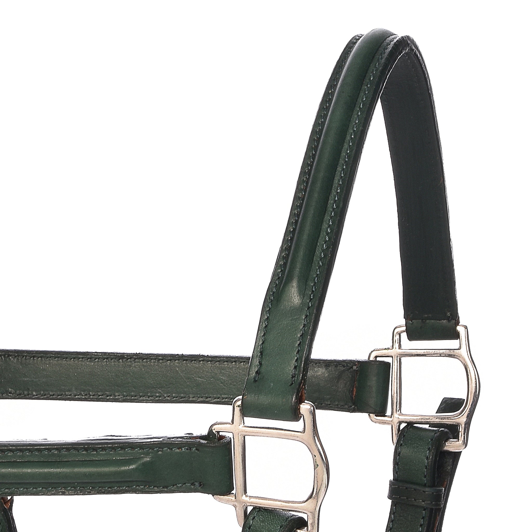 Derby Halters - Horse Halters