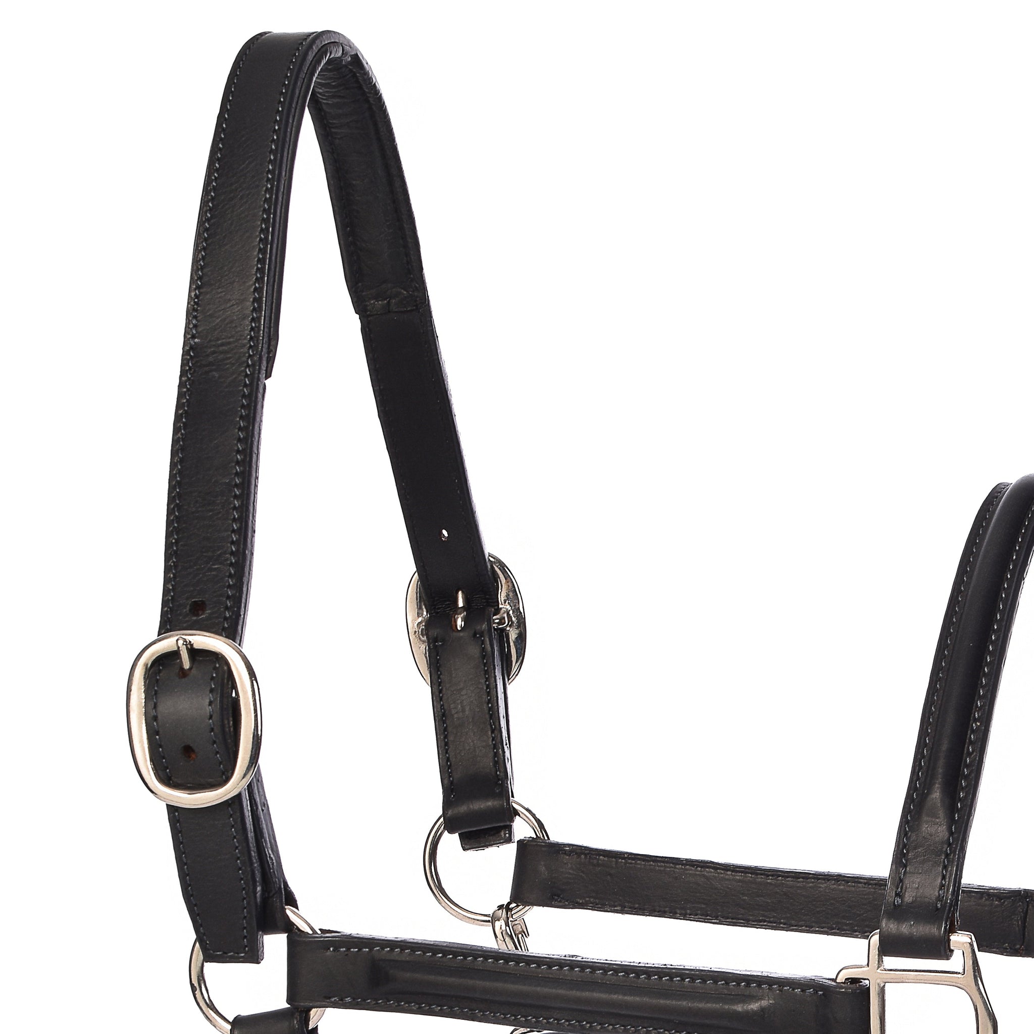 Derby Halters - Horse Halters