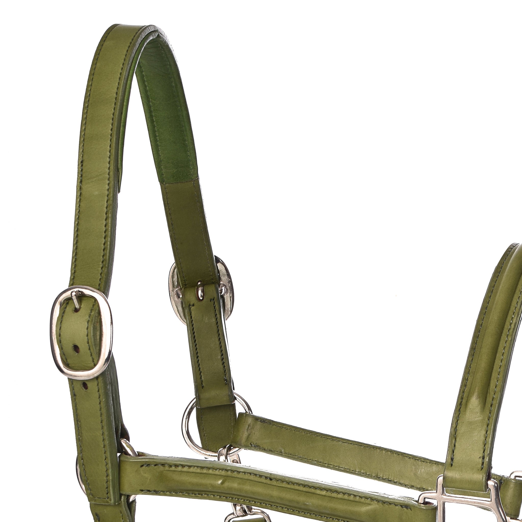 Derby Halters - Horse Halters