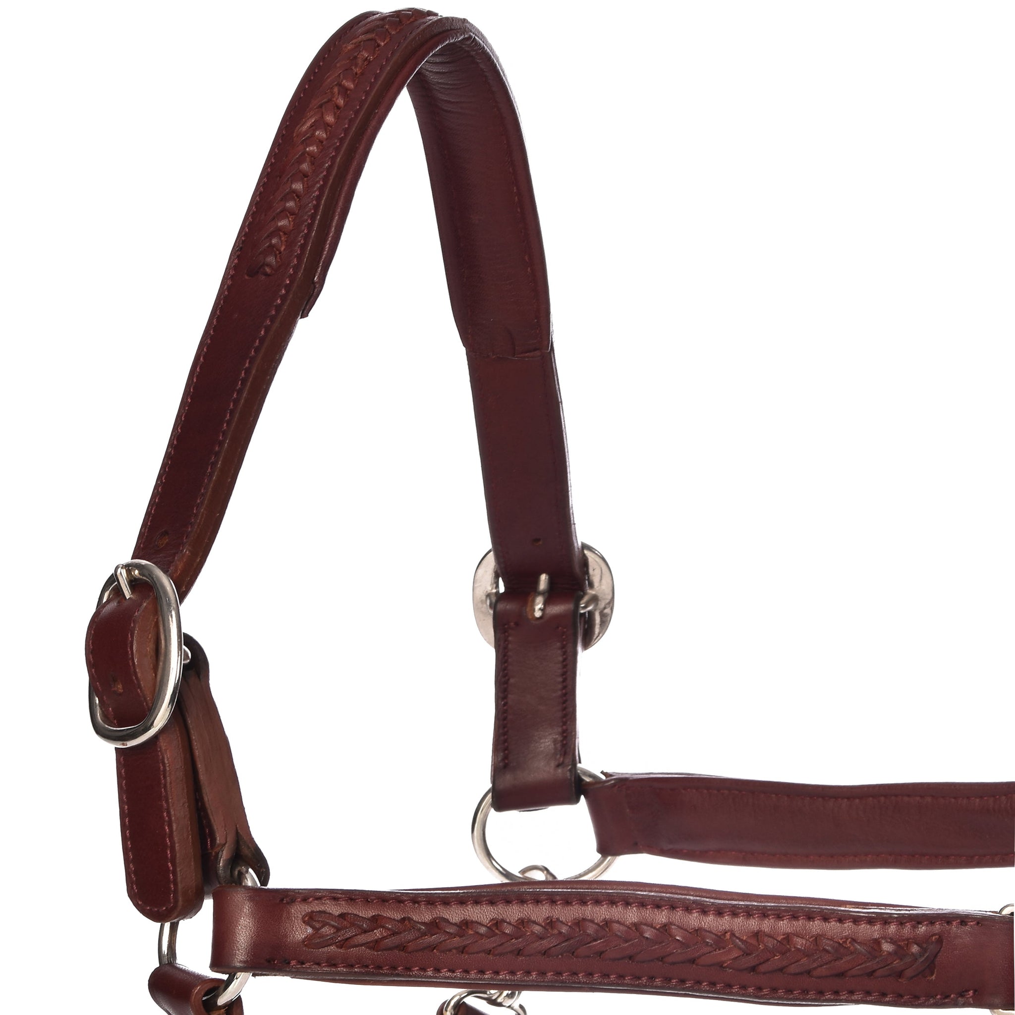 Juls Halters - Horse Halters
