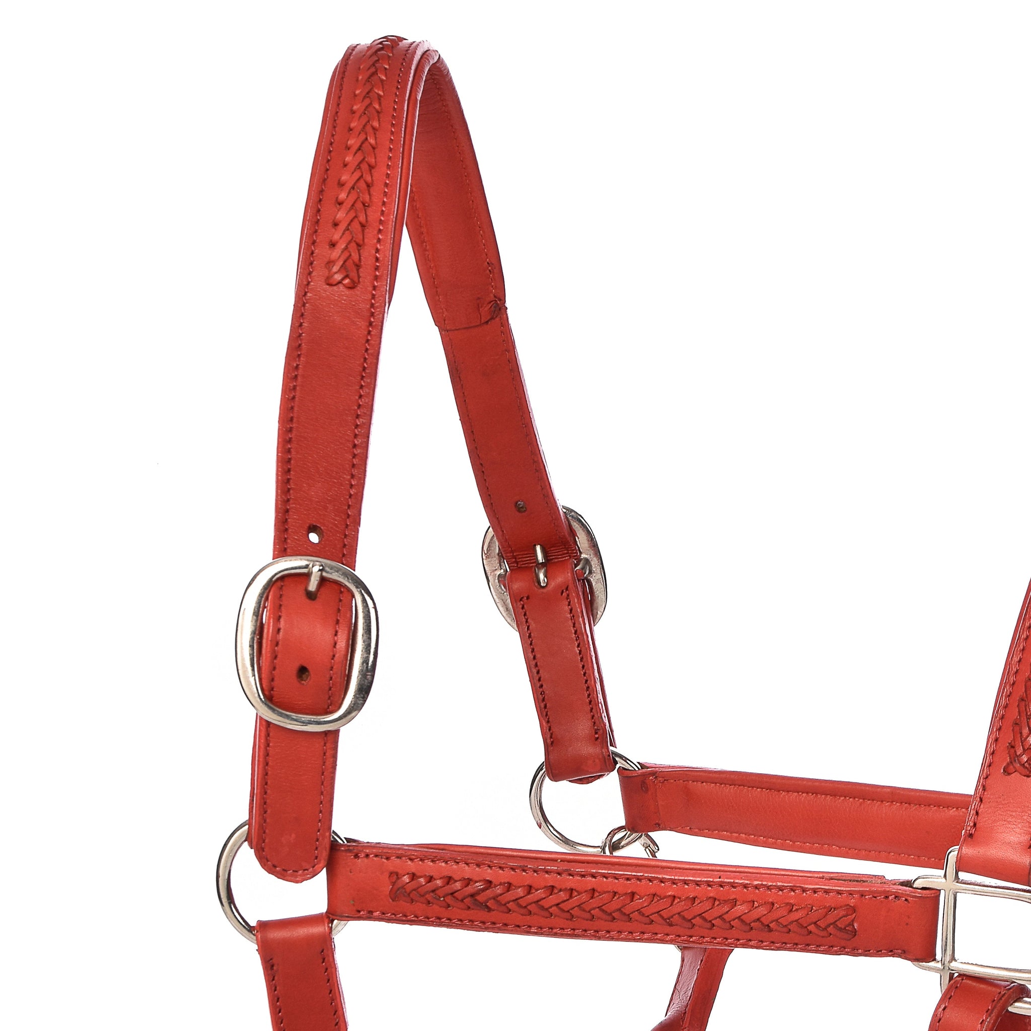Juls Halters - Horse Halters