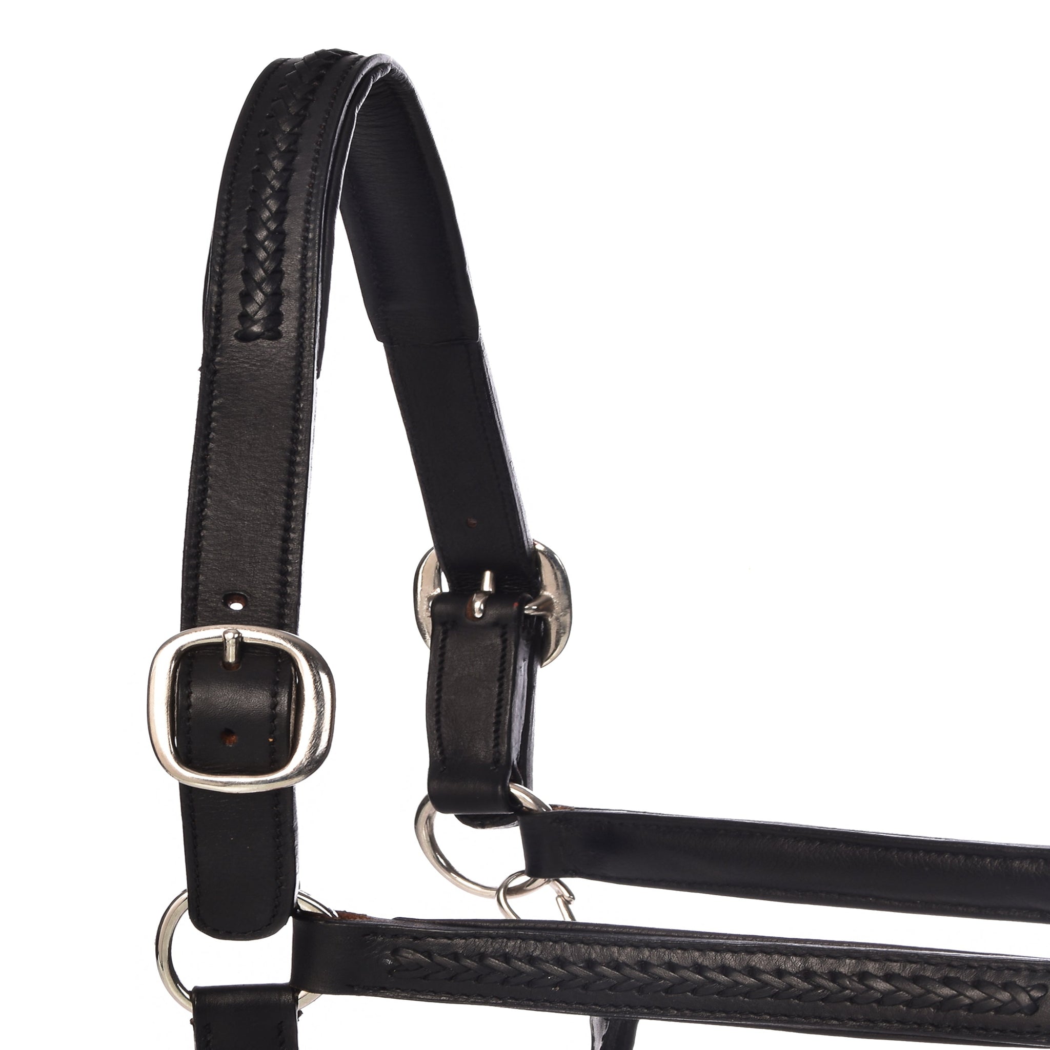Juls Halters - Horse Halters