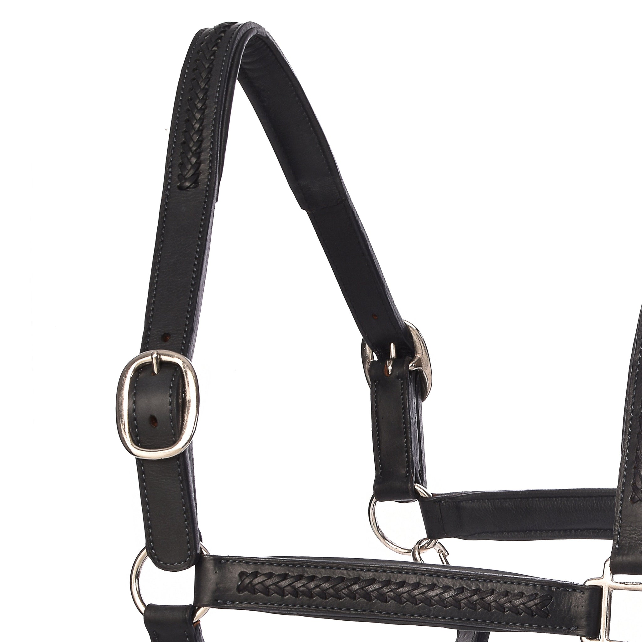 Juls Halters - Horse Halters