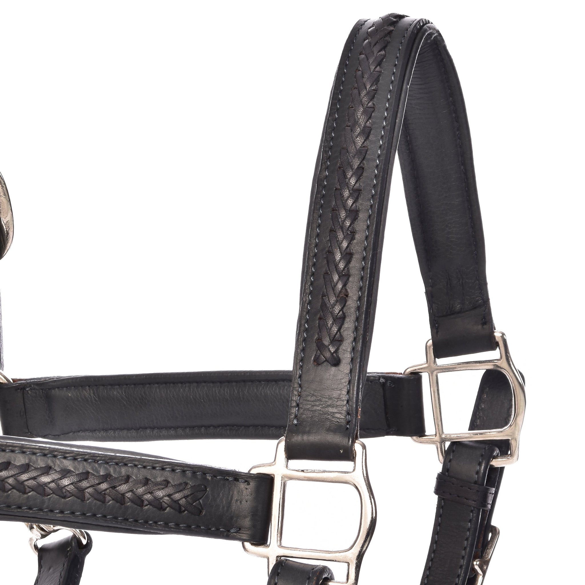 Juls Halters - Horse Halters