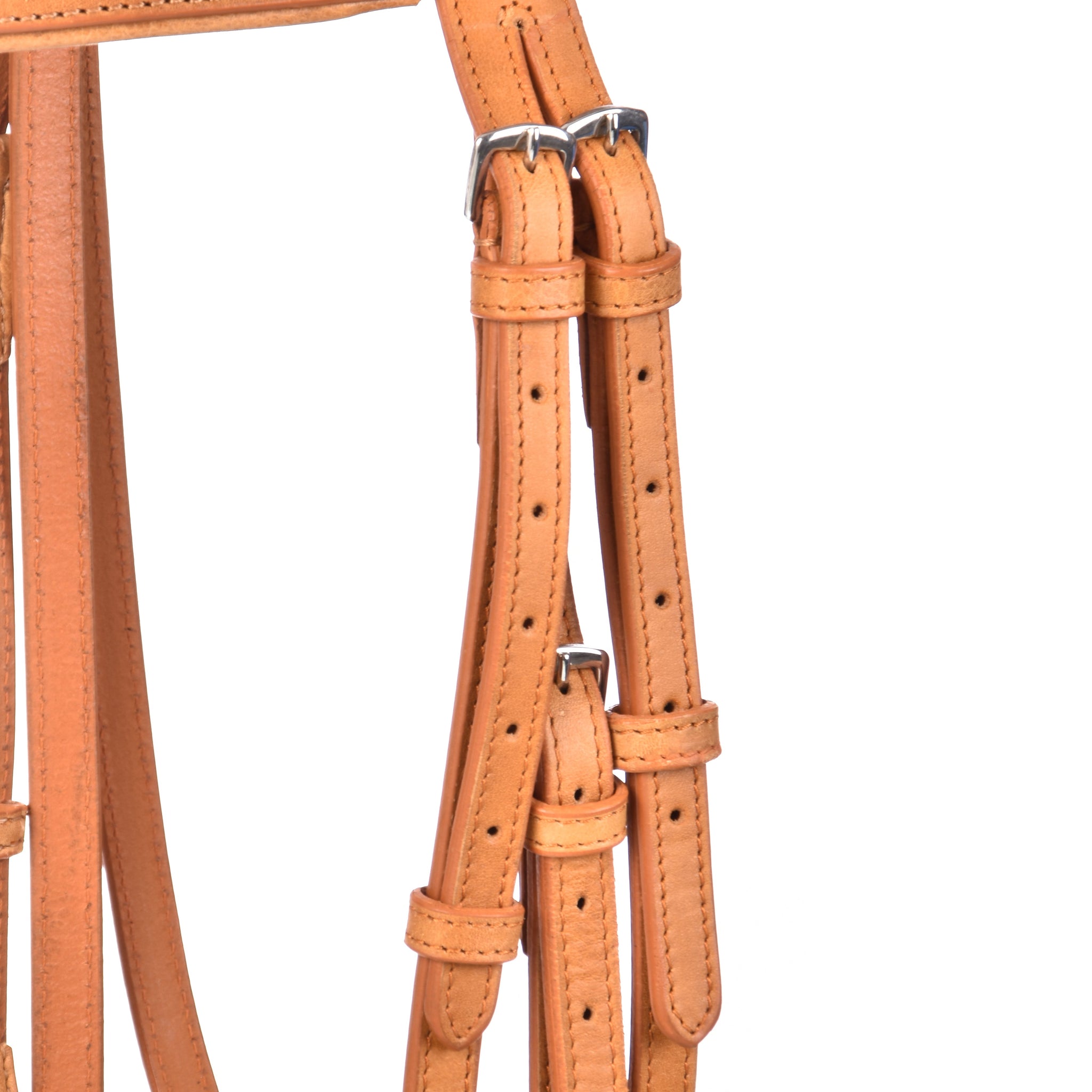 York Bridles - Bridles